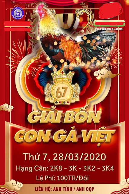 Giải đá gà